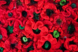Knitted Poppies Photo by Barb Madden